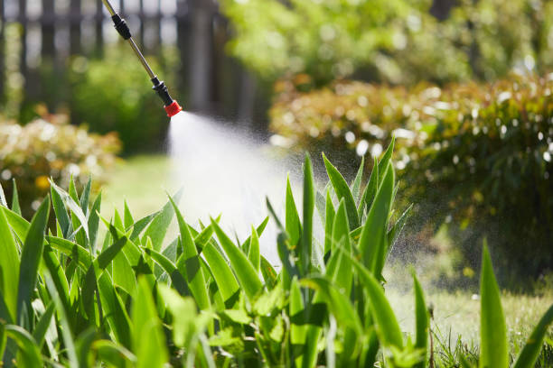 24/7 Emergency Mosquito Control experts in Sharpsburg, PA