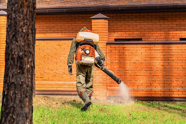 Trusted Rodent Control service in Sharpsburg, PA - Nex Pest Control